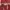 Dickies Luxury Hoody Pria red gray photo 3