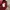 Dickies Luxury Hoody Pria red gray photo 6