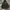 Dickies Luxury Hoody Pria white gray photo 1