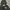 Dickies Luxury Hoody Pria white gray photo 2