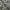 Japanese brand Streetwear Sportswear Casual shirt Pria cream black photo 5