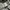 Japanese brand Streetwear Sportswear Casual shirt Pria cream black photo 7