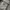 Japanese brand Streetwear Sportswear Casual shirt Pria cream black photo 4