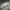 Japanese brand Streetwear Sportswear Casual shirt Pria cream black photo 6