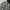 Japanese Brand Streetwear Sportswear Casual Shirt Pria Cream Black