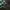 GU Streetwear Sportswear Casual shirt Pria green photo 7