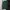 GU Streetwear Sportswear Casual shirt Pria green photo 1