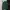 GU Streetwear Sportswear Casual Shirt Pria Green