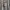 Streetwear Sportswear T-shirt Pria gray photo 2