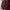 Uniqlo Streetwear Sportswear Casual shirt Pria burgundy photo 1