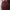 Uniqlo Streetwear Sportswear Casual Shirt Pria Burgundy
