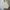 Bottega Veneta Luxury Sweater Pria cream photo 1