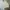 Bottega Veneta Luxury Sweater Pria cream photo 2