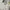 Bottega Veneta Luxury Sweater Pria cream photo 5