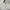 Bottega Veneta Luxury Sweater Pria cream photo 3