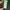 HUF Skater T-shirt Pria green photo 7