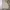 NII Y2K Sweater Pria tan photo 1