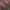 Fila Vintage Streetwear Track jacket Pria blue red photo 4