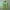Y2K T-shirt Pria green photo 1