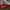 Nike Y2K Sneakers Pria white gray photo 1