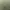 Polo Ralph Lauren Vintage Luxury Sweater Pria green gray photo 4