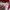 Asics Sportswear Jersey Pria white red photo 4