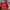 Superdry Casual Varsity Jacket Pria Red