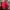 Superdry Casual Varsity jacket Pria red photo 2