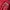 Superdry Casual Varsity jacket Pria red photo 3