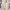 Chrome Hearts Streetwear Goth Sweater Pria white photo 5