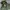Alpha Industries Indie Casual Harrington jacket Pria green photo 2