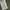 Alpha Industries Indie Casual Harrington jacket Pria green photo 3