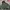 Alpha Industries Indie Casual Harrington jacket Pria green photo 1