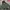 Alpha Industries Indie Casual Harrington Jacket Pria Green