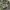 Alpha Industries Indie Casual Harrington jacket Pria green photo 4