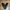 Vans Skater Casual Sneakers Pria black photo 3