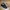 Vans Skater Casual Sneakers Pria black photo 1