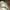Vans Streetwear Skater Sneakers Pria white gray photo 5