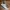 Vans Streetwear Skater Sneakers Pria white gray photo 1