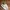 Vans Streetwear Skater Sneakers Pria white cream photo 2