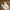 Vans Streetwear Skater Sneakers Pria white cream photo 1