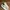 Vans Streetwear Skater Sneakers Pria White Cream