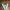 Vans Streetwear Skater Sneakers Pria white cream photo 3