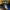 Adidas Y2K Hat Pria blue photo 5