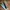 Vans Skater Futurist Sneakers Pria green black photo 1