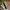 Vans Skater Futurist Sneakers Pria Green Black