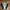 Vans Skater Futurist Sneakers Pria green black photo 3