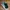 Vans Skater Futurist Sneakers Pria green black photo 2