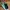 Vans Skater Futurist Sneakers Pria Green Black