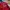 Nike Streetwear Sportswear T-shirt Pria multicolor photo 2